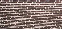 Rénovation et teinte d un ancien mur en briques (5)