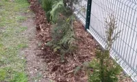 Création d'une clôture en panneaux rigides dans une maison individuelle vers Troyes